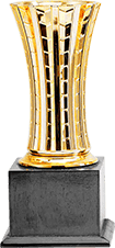 award-picture